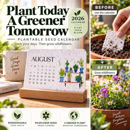 🌱Eco-friendly, Plantable "Eternal" Random-Seed Calendar-A Pack consists of 12 calendar sheets.