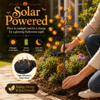 Solar Pumpkin Stake Lights