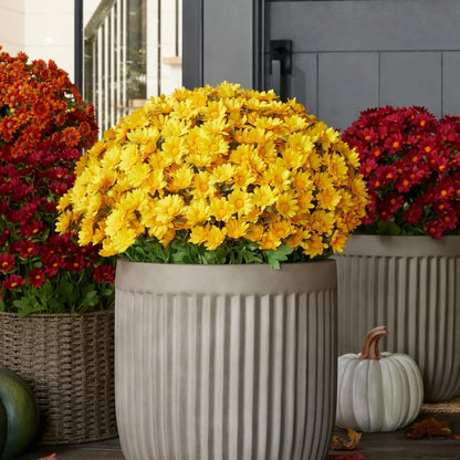 Artificial Outdoor Mums Flowers - UV resistant, Waterproof, Windproof🌼