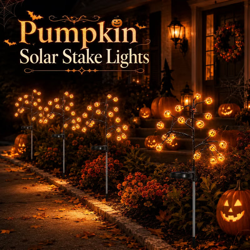 Solar Pumpkin Stake Lights