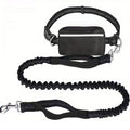 Hands Free Bungee Dog Leash with Detachable Zipper Pouch