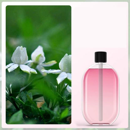🌸 Essential Oil Diffuser USB Powered with Light ✨