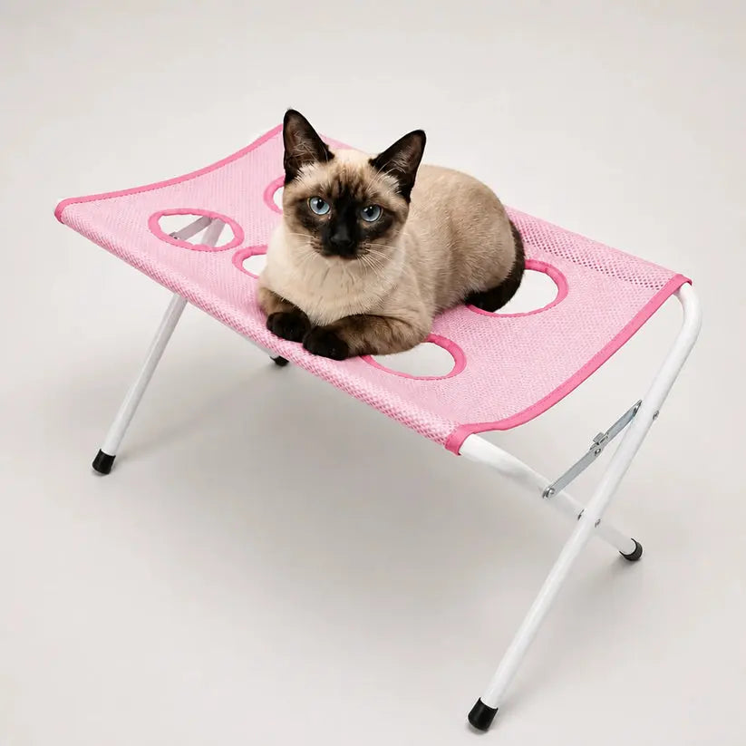 Pet Bath Station