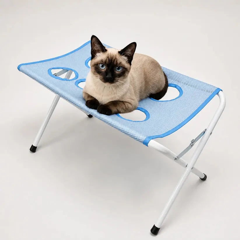 Pet Bath Station