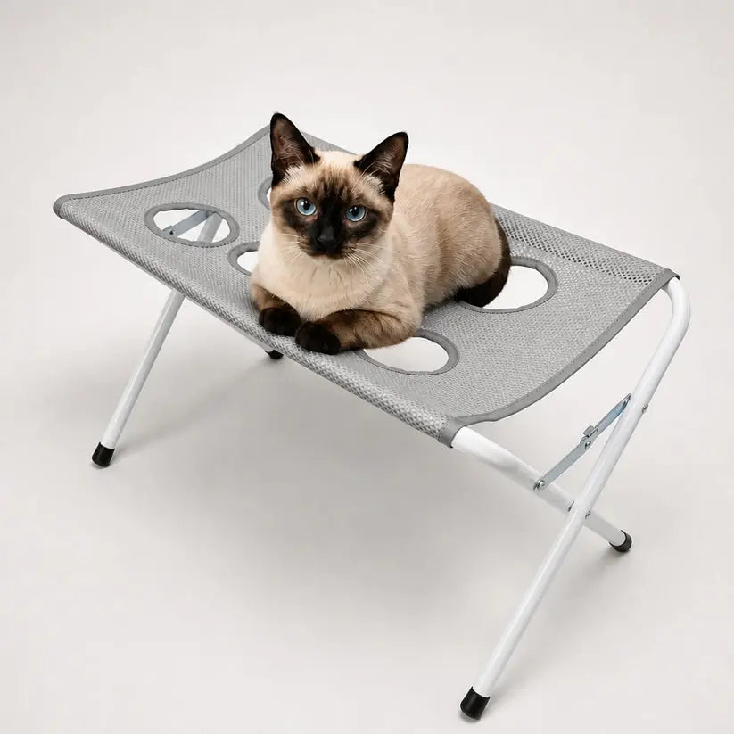 Pet Bath Station