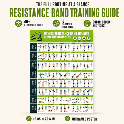 Fitness Resistance Band Training Guide