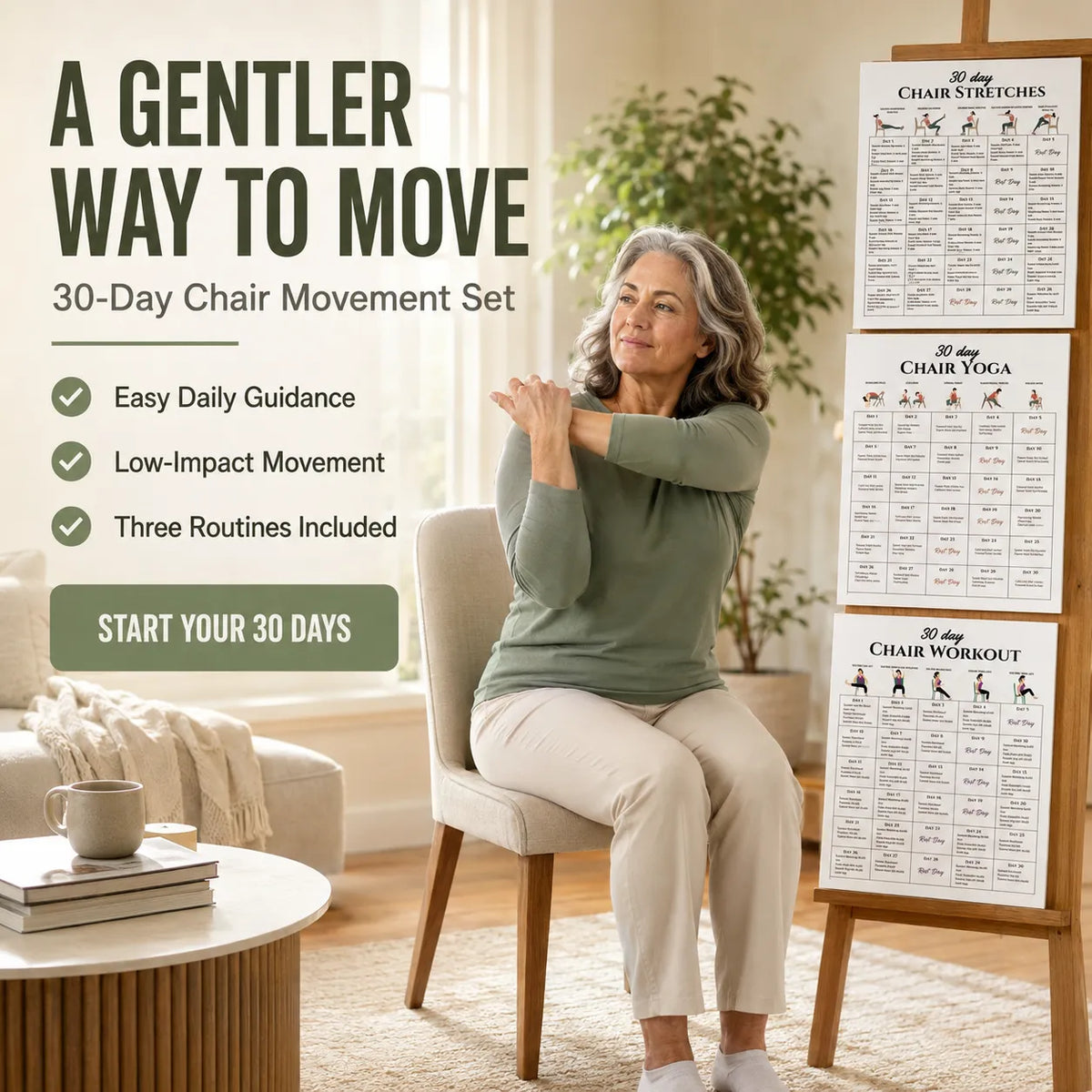 3-in-1 30-Day Chair Exercise Poster Set(10 x 8 inches)