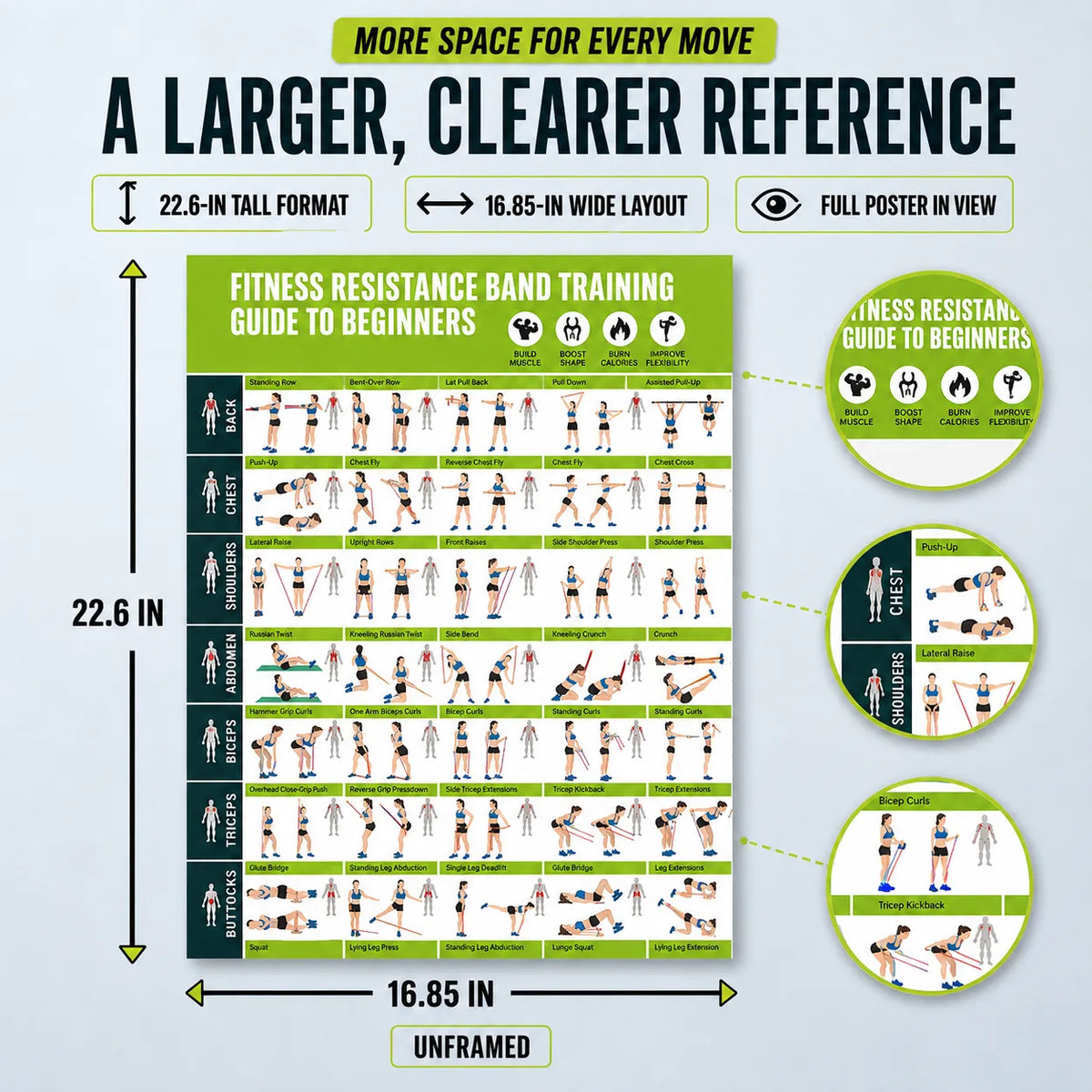 Fitness Resistance Band Training Guide