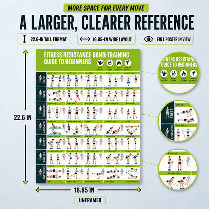 Fitness Resistance Band Training Guide