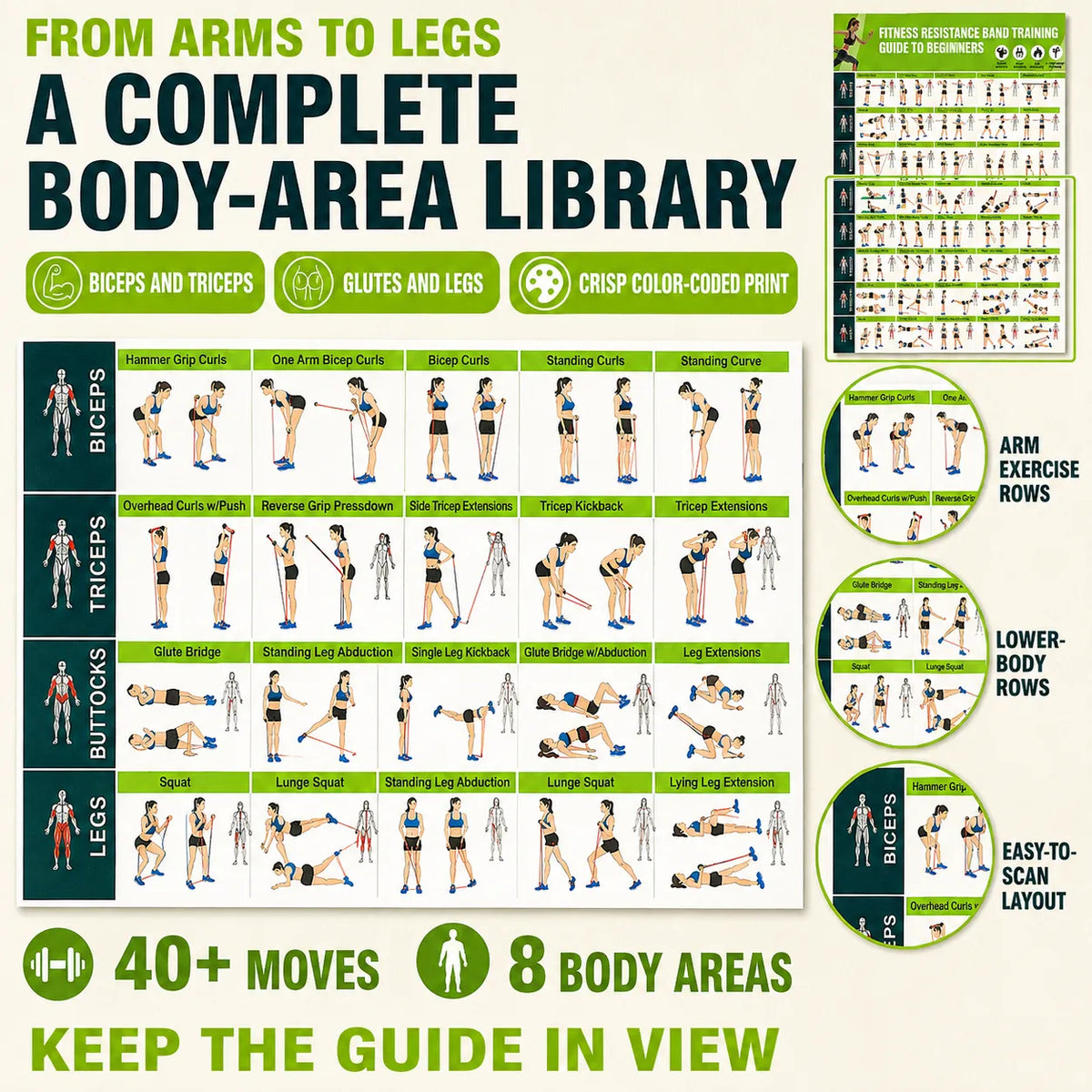 Fitness Resistance Band Training Guide