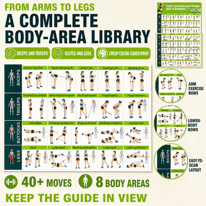 Fitness Resistance Band Training Guide
