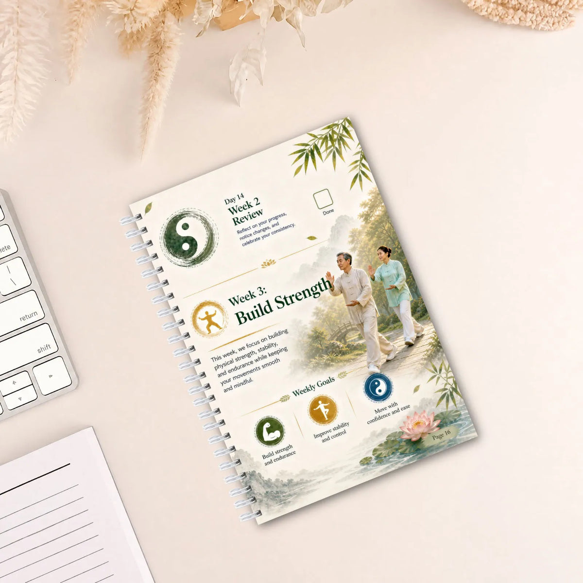 Tai Chi Vitality Walking Plan Manual