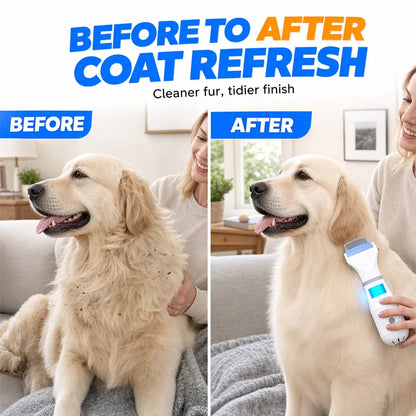 Electric flea comb for pets vacuum cleaning function - includes 3 filters